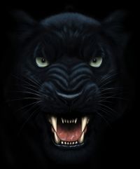 Original - Deaf Black Panther - Panther